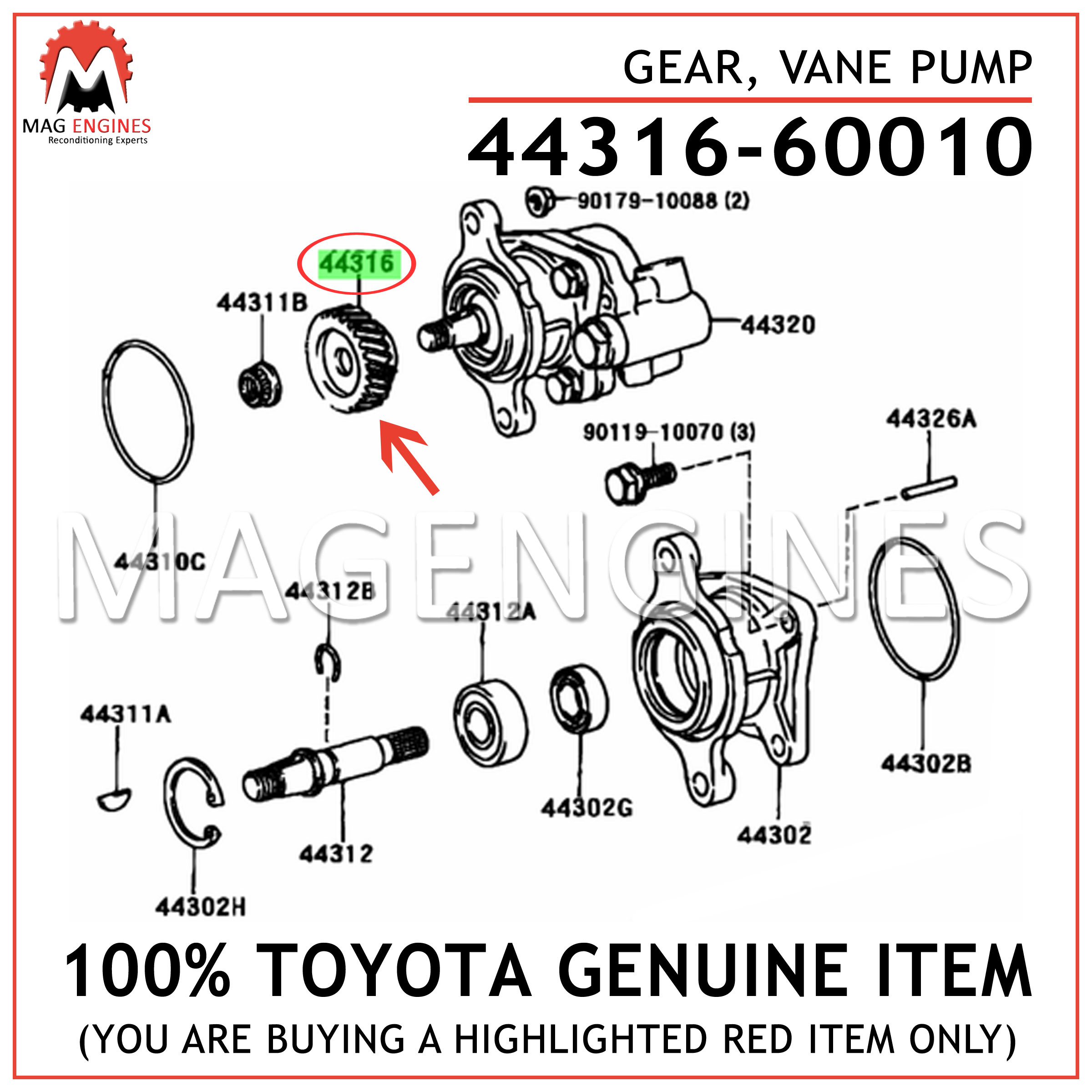 VANE PUMP 44316-60010 4431660010 Genuine Toyota GEAR