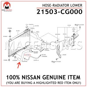 21503-CG000 NISSAN GENUINE HOSE-RADIATOR LOWER 21503CG000